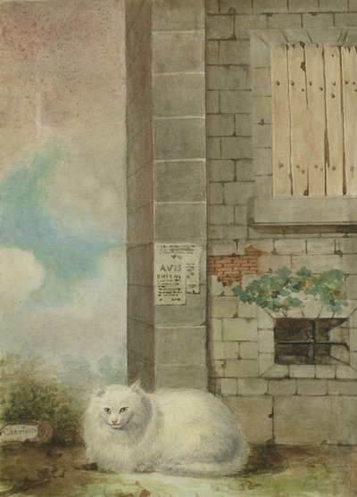 White Persian Cat by Lady Charlotte Schreiber